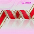 CHristas ribbon 2