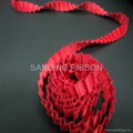 Ruffle ribbon 4