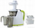 Stainless Steel Juicer 2