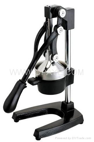 Stainless Steel Juicer 3