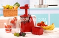 Single Auger Juicer 1