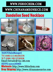  Dandelion Seed Glass Orb Terrarium Necklace