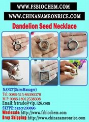Dandelion Wishes Glass Bottle Necklac
