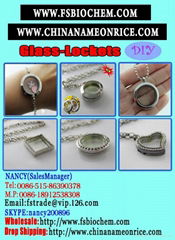 Crystal Floating Memory Stainless Steel Locket,