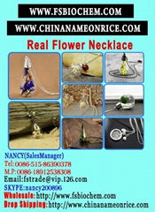 Real Flower Botanical Necklace