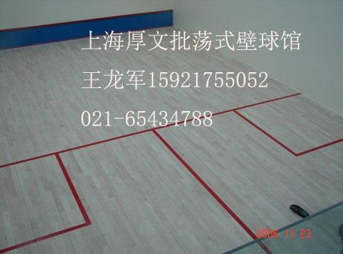 供應批蕩式壁球場工程