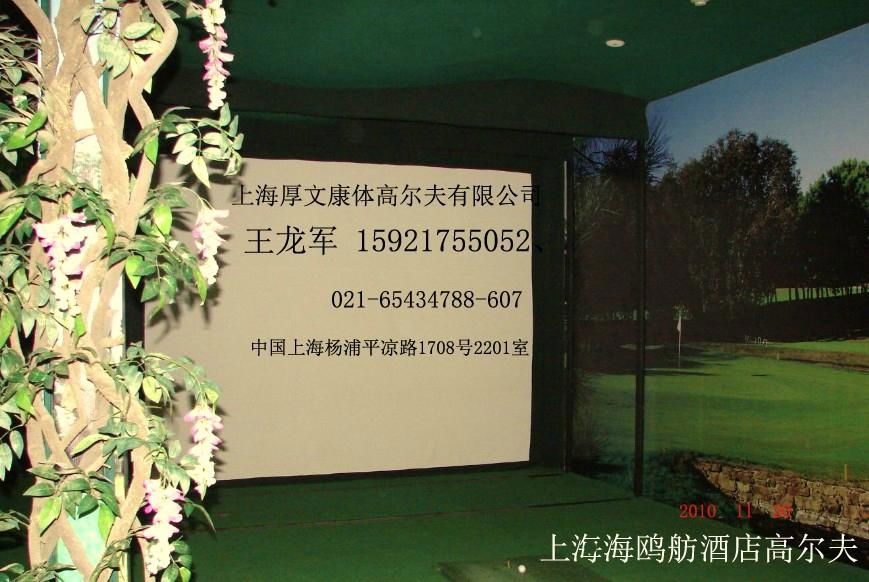 供应上海有象2015室内模拟高尔夫设备 2