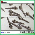 Orthodontic Implants Dental Implant mini implant micro implant  12