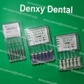 Root canal file Dental instrument Dental endo file 11