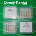 Root canal file Dental instrument Dental endo file 4