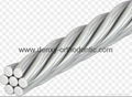 Coaxial wire / Twist archwire / Dental wire Orthodontic wire Dental  6