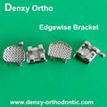 Bondable Orthodontic  brackets 2