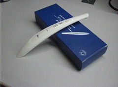 Curing light 1000mw/cm2