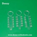 Gray/Clear 2 Colors Dental Products Orthodontic Elastic Rotation wedges 8