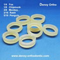 Rubber bands Elastic Dental elastics Orthodontic elastics