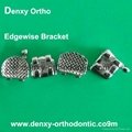 orthodontist Dental brackets Dentist brace dentist bracket
