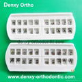 orthodontist Dental brackets Dentist brace dentist bracket