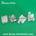 orthodontist Dental brackets Dentist brace dentist bracket