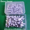 Accessory Dental Disposable Latch Type  Flat  prophy brushes
