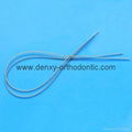 Orthodontic Niti Arch Wires Orthodontic Niti Wire 7