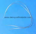 Orthodontic Niti Arch Wires Orthodontic Niti Wire 11