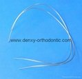 Orthodontic Niti Arch Wires Orthodontic Niti Wire