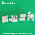 Dental Supplies Dental Products Orthodontic Products 13