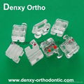 Dental Supplies Dental Products Orthodontic Products 17