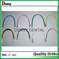 Orthodontic niti arch wire Orthodontic arch wire Orthodontic wire 2