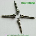 Micro implant Screw System Orthodontic Implant Dental Anchorage for orthodontic‏ 3