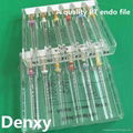 endo file- dental product