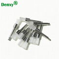 Dental Prophy angle Dental prophy cup Dental prophy brush 4