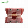 High Quality Dental Model Teeth Model Typodont Dental 