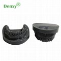 Denxy Dental Study Teeth Model Dental Teeth Model Typodont Dental Equipment