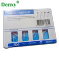 Dental Fiber Post Screw Dental Screw Dental Material Dental Equipment