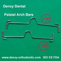 Orthodontic Distal Mesial  Dental