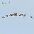 Denxy Dental Orthodontic direct bonding