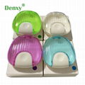 Dental Colorful denture box retainer case orthodontic denture storage case Align