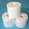 2ply 700sheets Customized Toilet Paper Roll