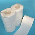 2ply 250sheets Embossed Toilet Paper