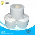 2ply 250sheets Embossed Toilet Paper roll 2