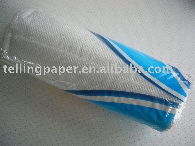 2ply 100sheets EMBOSSED kitchen paper towel