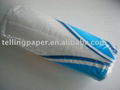 2ply 100sheets EMBOSSED kitchen paper