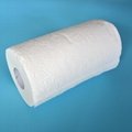 2ply 100sheets EMBOSSED kitchen paper towel