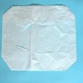 1/2 Fold Toilet Paper Seat Cover Public Toilet Used Paper Cover  3
