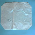 Travel pack disposable Toilet Paper Seat Cover 2