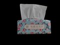 2ply 150sheets emobssed Custom Printed plastic soft pack facial tissue paper