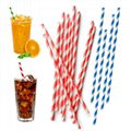 Factory New Design Biodegradable Striped Metal Gold Paper Straws 3