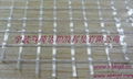 Anti-fire & Anti-cold PVC Transparent Mesh 2