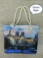 Lady hand bag, shopping bag 12